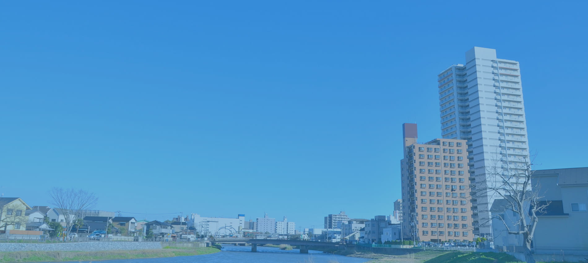 メインスライド画像