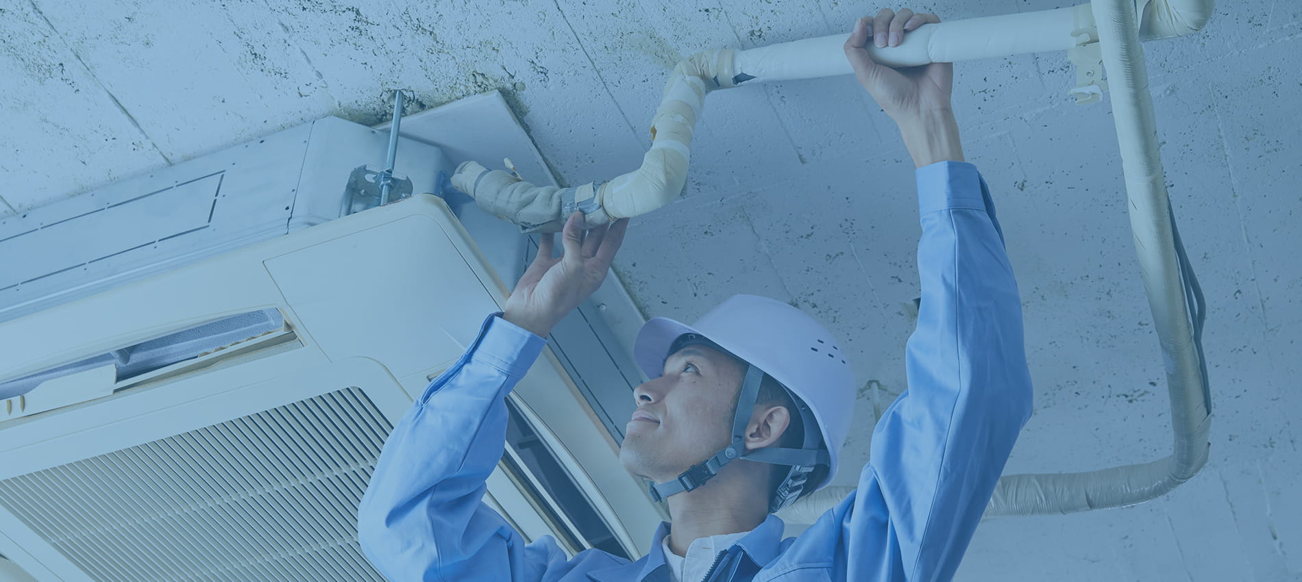 メインスライド画像